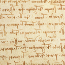 color-collection avatar