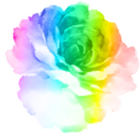 color-is-a-way-of-life-blog-blog avatar