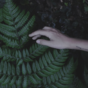 color-of-nostalgia avatar