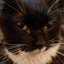 coloradocasualvibe avatar