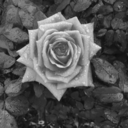 colorbetweenlines avatar