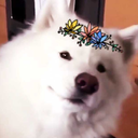 colorful-palette avatar