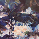 colorful-pills avatar