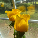 colorfulartherapy avatar