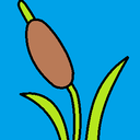 colorfulcattails avatar