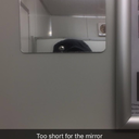 colorfuldelusionnightmare avatar