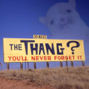 colorfuldicecollector avatar