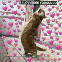 colorfulempathhandsfish avatar