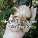 colorfulpenguinnightmare avatar