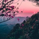 colorfulprideweeb avatar