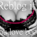 colorfulpruneapricotoaf-blog avatar