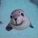 colorfulslimefriendneck avatar