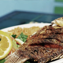 coloringthecanvas avatar