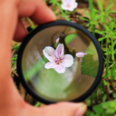 colormecuttle avatar