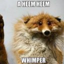 colormehappyy avatar