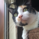 colormein-kindness avatar