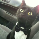 colorsandmutts27 avatar