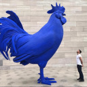 colorsmakearainbow avatar