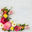 colorsofthecolorless avatar