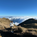 colorsoftrouvaille avatar