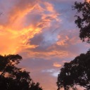 colorsoutofearth avatar