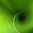 coloruniverse avatar