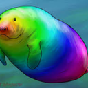 colossal-manatee avatar