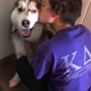 colour-arsenal avatar