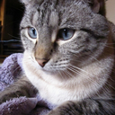 colour-bender avatar