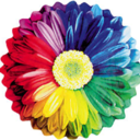 colourful-balance-blog-blog avatar