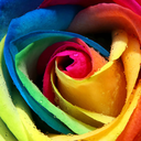 colourful-crush-blog avatar