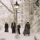 colourfulsuitwonderland avatar