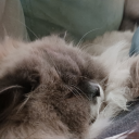 colourfulvoidd avatar