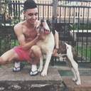 colourless-daydream-blog avatar