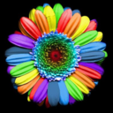 coloursinaflower avatar