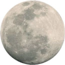 colourwayheaven avatar