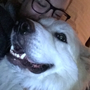 colterwolterbooboobear avatar