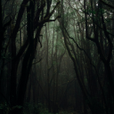 come-into-my-parlour avatar