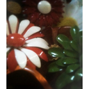 come-to-the-sunshine-blog avatar