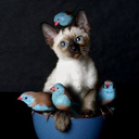 comedictimingdetected avatar