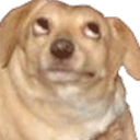 comedyismymajor avatar