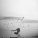 comeilventodimaestrale avatar