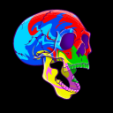 cometcollective avatar