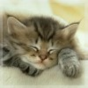 comfortableinthenude avatar