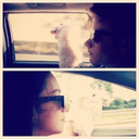 comfortablyxnumb-blog-blog avatar