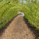 comfycozycutie avatar