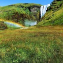 comingforthecrown avatar