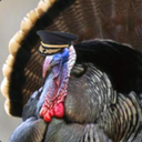 commander-turkey-legs avatar