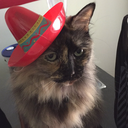 commanderfloof avatar