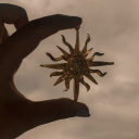 commanderinsane avatar